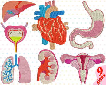 Preview of Organs Anatomy Embroidery Design biology science heart liver Stomach Lungs 154b