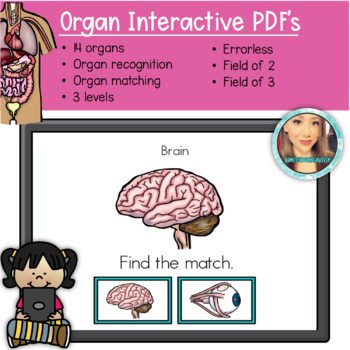 Preview of Organs Interactive Pdf