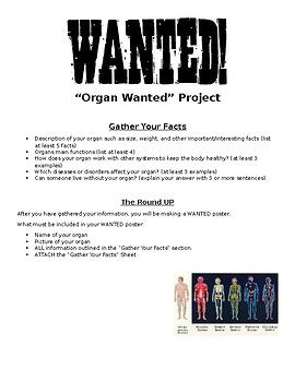 33 Help Wanted Biology Worksheet Answers - Worksheet Resource Plans