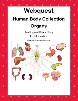 Preview of Organs WebQuest:-CCSS .RI.4.1-8.1-.RI.4.2-8.2