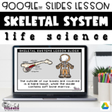 Organs for the Skeletal System Lesson