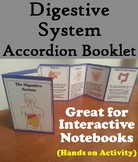 Organs of the Digestive System Activity: Human Body System