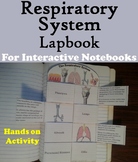 Organs of Respiratory System Interactive Notebook (Human B