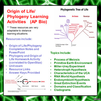 Preview of Origin of Life/ Phylogeny Learning Activities for AP Biology (Distance Learning)