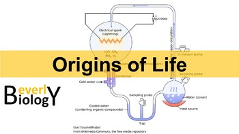 Origins of Life (Miller and Urey experiment) by Beverly Biology | TPT