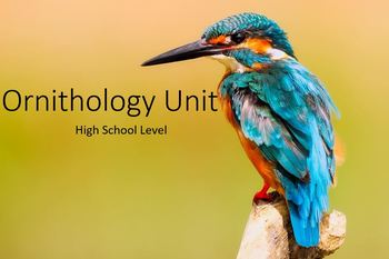 Preview of Ornithology Unit