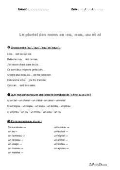 Preview of Orthographe Le pluriel