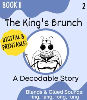 Preview of Orton-Gillingham Decodable Book 11: -ng