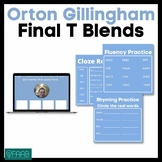 Orton Gillingham-Final Consonant Blends- T Blends- Perfect