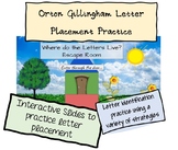 Orton Gillingham Letter Placement Practice!!