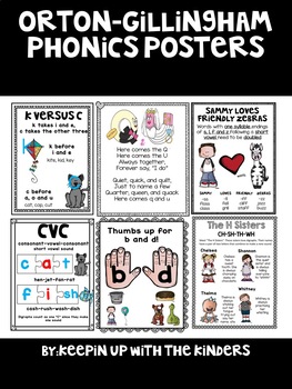 Preview of Orton-Gillingham Phonics Posters