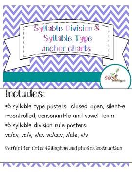 Preview of Orton Gillingham Syllable Type and Division Posters/Anchor Charts
