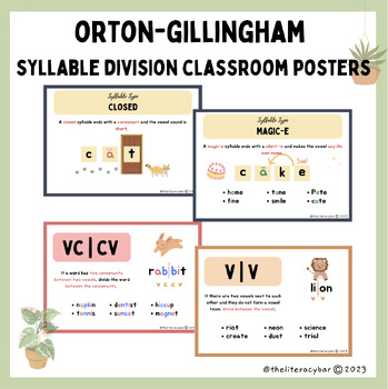 Preview of Syllable Types Classroom Posters /Syllable Division Posters | Literacy Printable