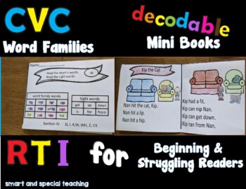 Preview of Orton Gillingham Word Families mini-books Readers Bundle (RTI & Dyslexia)