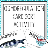 Osmoregulation in Fish Matching Activity
