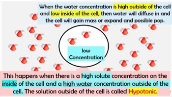 Osmosis Animated PowerPoint by Hey Now Science | TPT