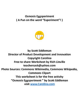 Preview of Osmosis Eggsperiment Worksheet