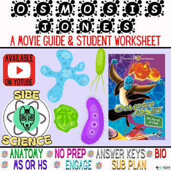 Preview of Osmosis Jones,Virus, Human Body, 9th, Biology, Anatomy, Movie, Worksheet,HS