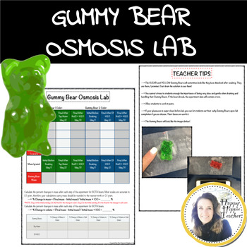 Preview of Osmosis Lab - Gummy Bear Osmosis