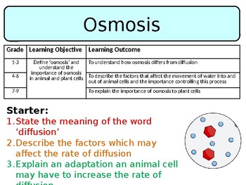 Osmosis - Lesson & PowerPoint by SWift Science | TPT