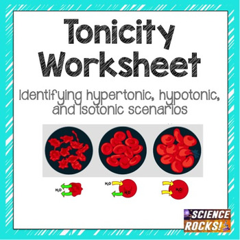 Preview of Cell Transport: Osmosis Tonicity Worksheet