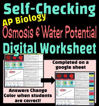 Preview of Osmosis & Water Potential Self-Checking Digital Worksheet (AP Biology)