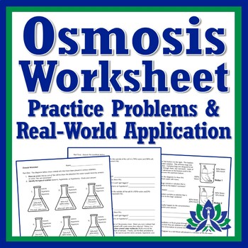 Preview of Osmosis Worksheet Cell Membranes Homeostasis NGSS MS-LS1-2 HS-LS1-3