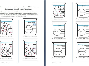 Osmosis and Diffusion Worksheet by Sidols Science Store  TpT