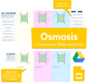 Preview of Osmosis - drag-and-drop, sorting, description activity in Slides