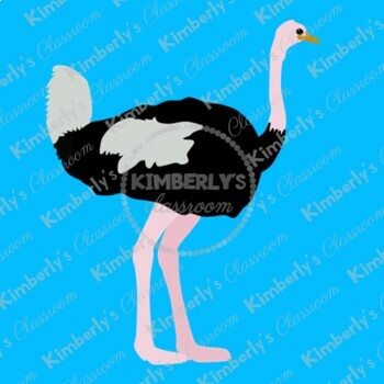 ostrich clip art black and white