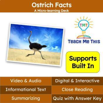 Preview of Ostrich Informational Text Reading Passage and Activities