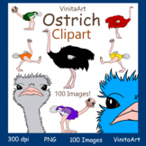 Ostrich clipart, 100 Images, Commercial use!