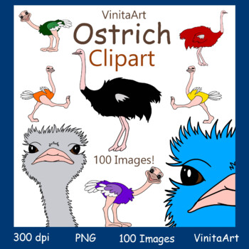 Mardi Gras Ostrich Feathers Clipart By Digital Curio