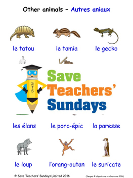 Other Water Animals in French Worksheets, Games, Activities and Flash Cards
