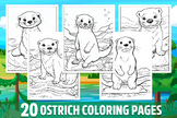 Otter Coloring Pages For Kids, School And Home Activities