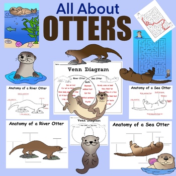 Preview of All About Otters Paper Crafts, Activities And Clip Art Collection