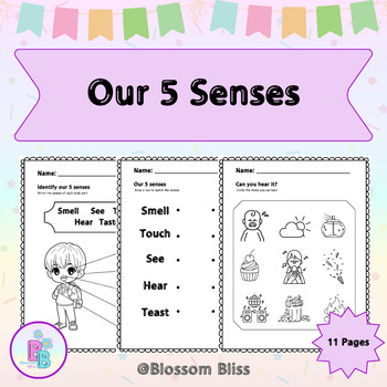 Preview of Identify Our 5 Senses Worksheet