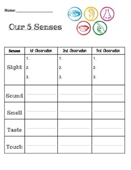 Preview of Our 5 Senses Activity