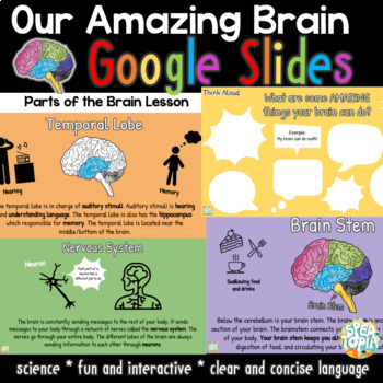 Preview of Our Amazing Brain- Parts of the Brain Google Slides Lesson