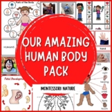 Our Amazing Human Body Parts Of The Body Cards Montessori 