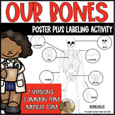 Our Bones Poster & Labeling Activity for Science Kindergar