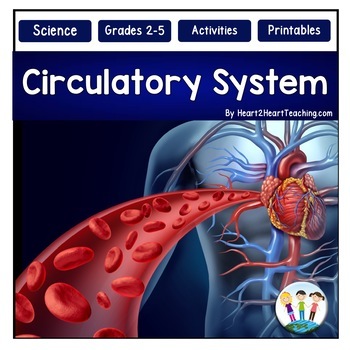 Preview of The Circulatory System Activities Reading Passages Worksheets Review Flip Book