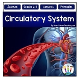 The Circulatory System Activities Reading Passages Workshe