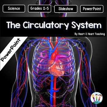 Preview of The Circulatory System Power Point Presentation