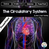 The Circulatory System Power Point Presentation