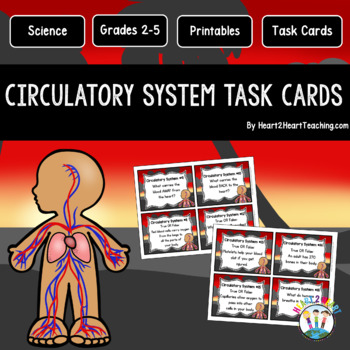 Preview of The Circulatory System Task Cards {Set of 16 Cards}