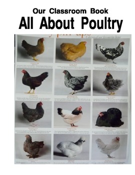Preview of Our Classroom Book All About Poultry