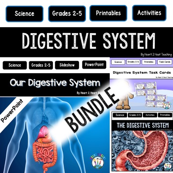 Preview of The Digestive System Activities BUNDLE: Reading Passages PowerPoint Worksheets