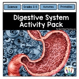 Our Digestive System Vocabulary Posters Bulletin Board Word Wall