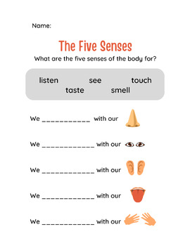 Preview of Our Five Senses Bundle